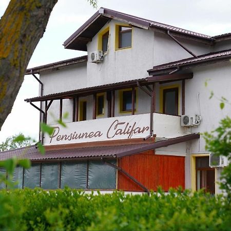 Pensiunea Califar Dunavăţu de Jos Exteriér fotografie