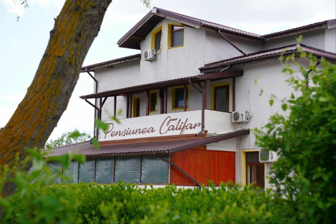 Pensiunea Califar Dunavăţu de Jos Exteriér fotografie